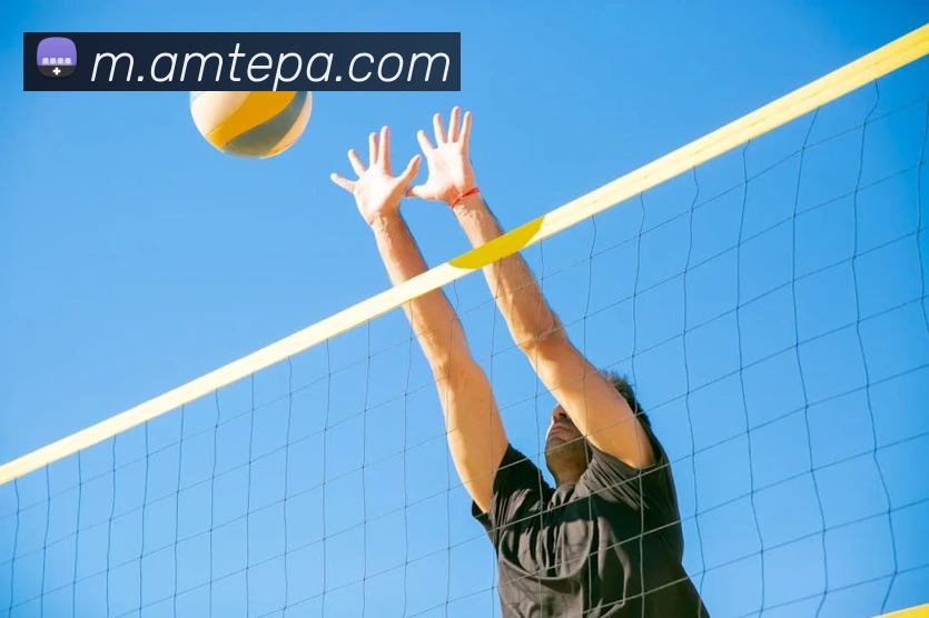 pa视讯平台生态图