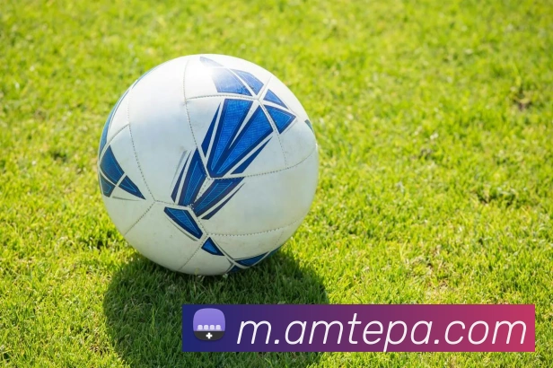 pa视讯APP 封面图